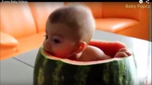 Funny Baby Videos – Funny Baby Videos 2015 For Kids
