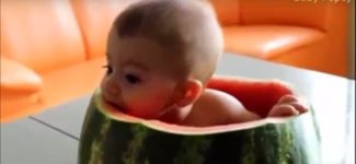 Funny Baby Videos – Funny Baby Videos 2015 For Kids